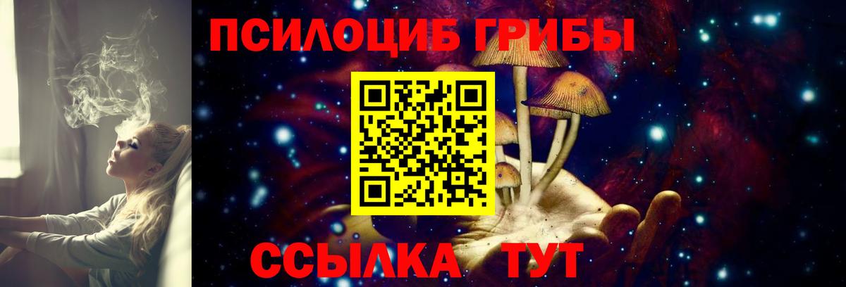 Тулун  Галлюциногенные грибы мицелий  хочу наркоту  Псилоцибиновые грибы GOLDEN TEACHER  Вход с VPN 